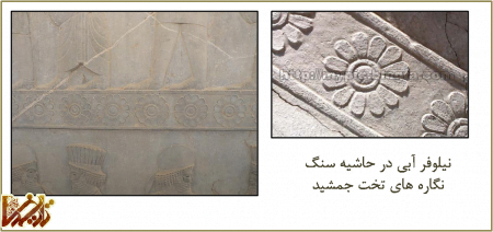 achaemenid persepolis iran  2m819hg گل نیلوفر در تخت جمشید | تاریخ ما Tarikhema.ir