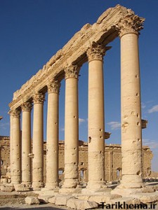 Columns in Temple Palmyra Syria tarikhema.ir  225x300 نگاهی به ستون در معماری هخامنشی و یونان و مصر  | تاریخ باستان تمدن عکسهای تاریخی | Tarikhema.ir