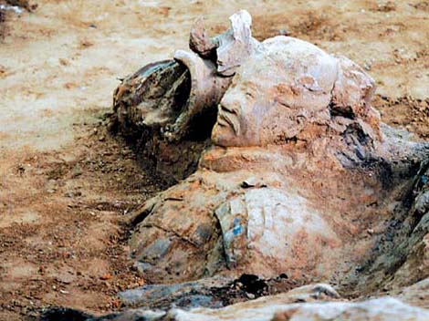 china starts new excavation of terracotta warriorsb45b36c5e724f9404786 باز هم به تعداد سربازان ارتش سفالی 2000 هزار ساله چینی افزوده شد  | تاریخ باستان تمدن عکسهای تاریخی
